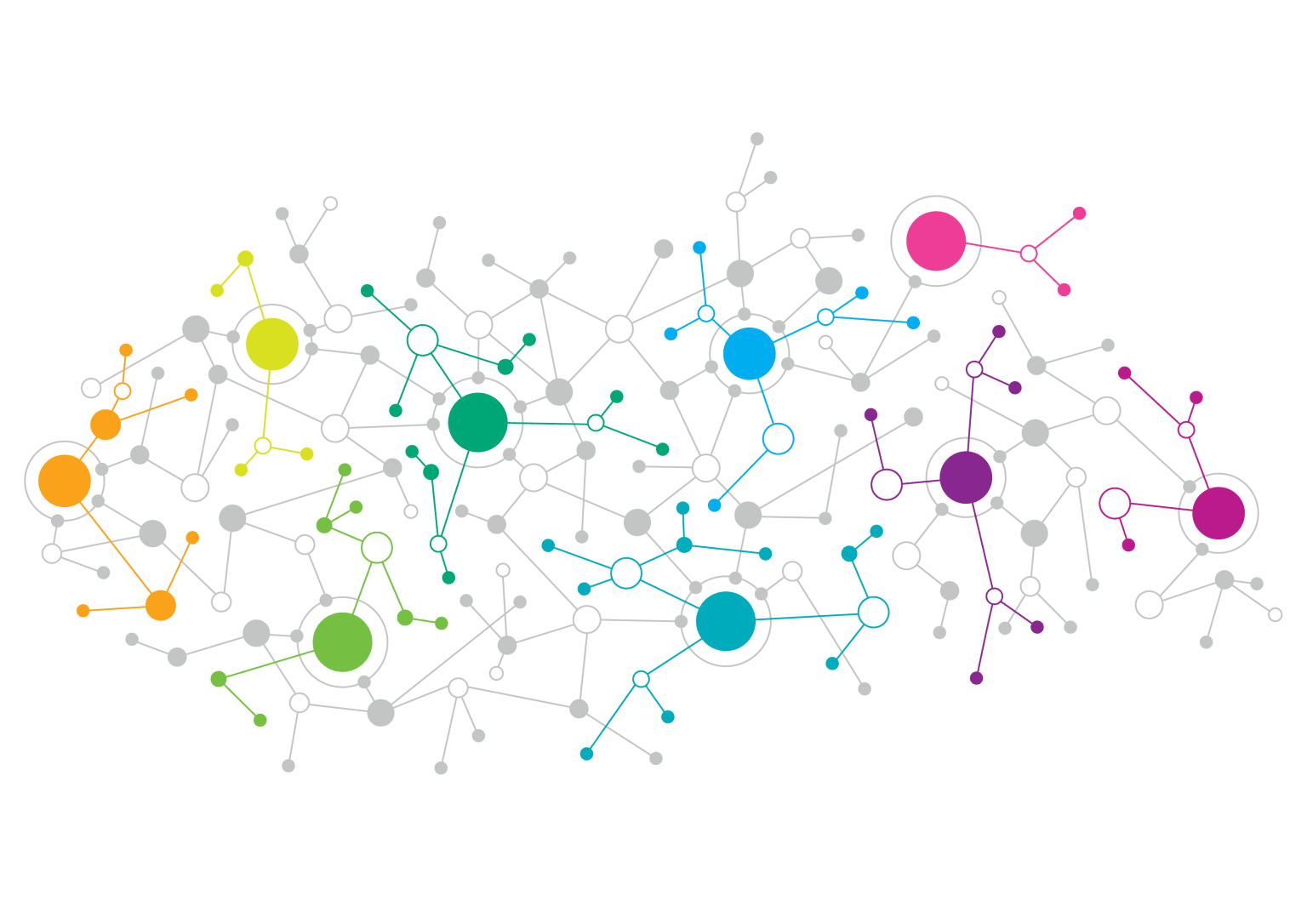 Illustration of a network of connected points in different colours